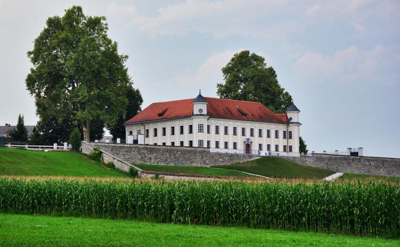 Hotel Baron Smlednik Exterior photo